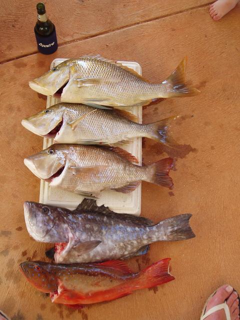 Mixed Bag